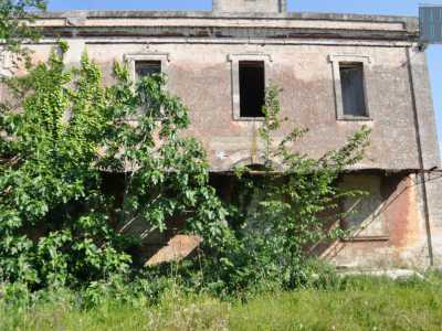 Attraversiamo l�ingresso circondato da piante e arbusti e accediamo nel cortile. Da qui � possibile vedere il mulino